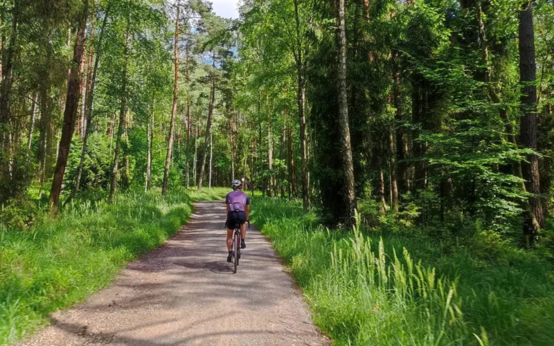 Trasa rowerowa Katowice – Kraków: 100 km przez lasy i szutry