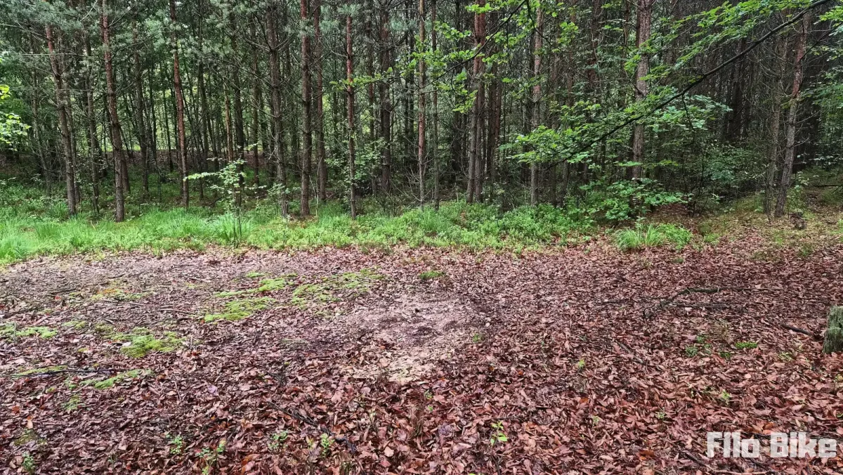 Miejsce po rozbitym namiocie w Puszczy Dulowskiej